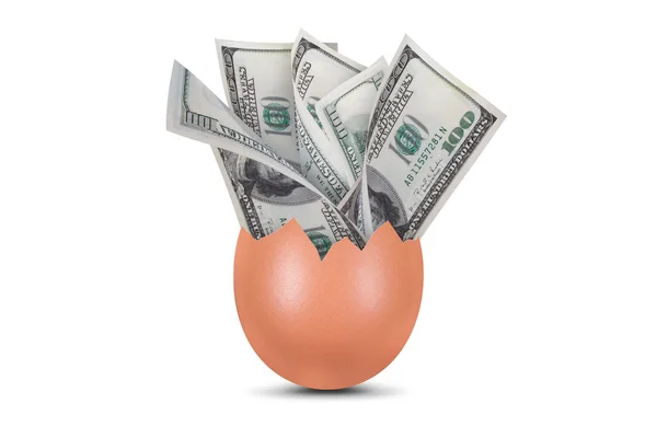 Dollar Banknotes in Broken Egg — Stock Photo, Image