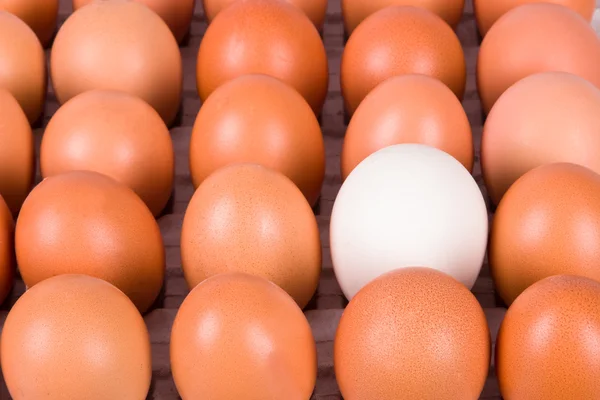 Healthy Organic Eggs — Stock Photo, Image