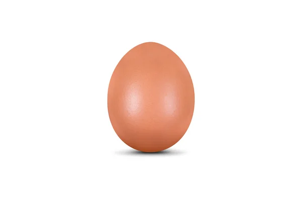 Organic Egg — Stock Photo, Image