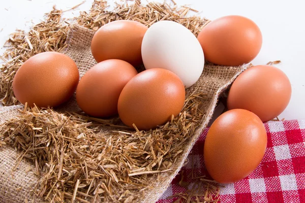 Organic Eggs in Nest — Stock Photo, Image