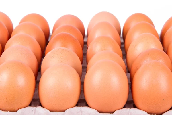 Organic Eggs — Stock Photo, Image