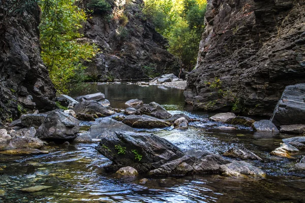 River in Forest — Stock Photo, Image