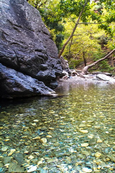 Fluss im Wald — Stockfoto