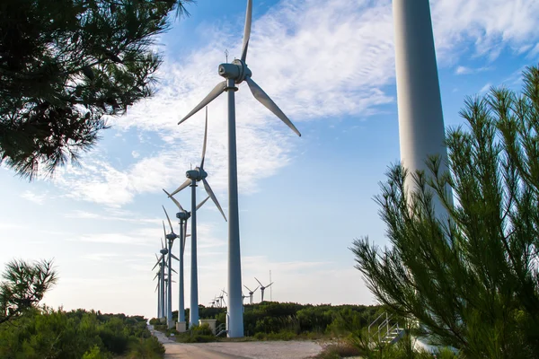 Ecología Renovable Molino de viento —  Fotos de Stock