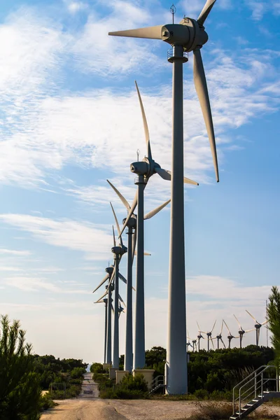 Windturbines voor hernieuwbare energie — Stockfoto