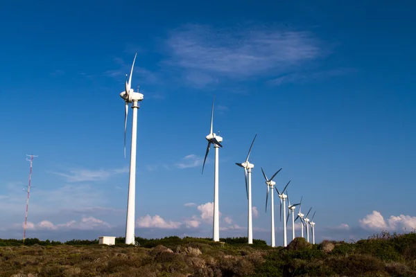 Vindkraftverk för förnybar energi — Stockfoto