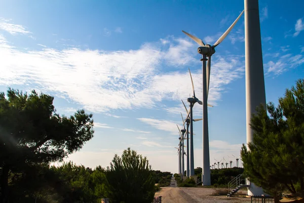 Vindkraftverk för förnybar energi — Stockfoto