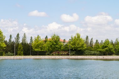 Göl ve doğal çevre