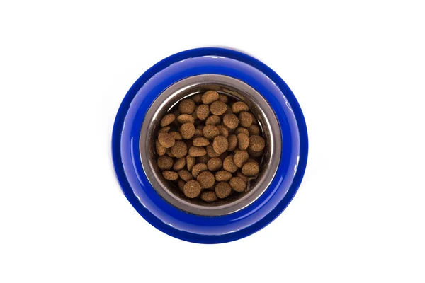 Comida para perros en Blue Bowl — Foto de Stock