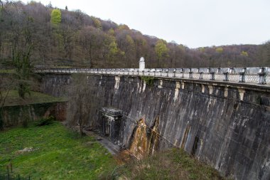 Ormandaki yüksek Weir