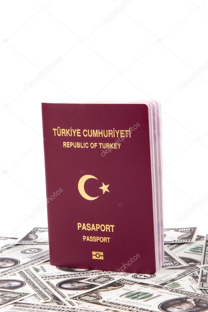 Passport with Banknotes