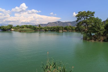 Dalyan sahil şeridi üzerinde tekne