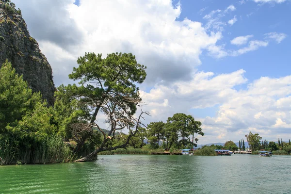 Bateau sur la côte de Dalyan — Photo