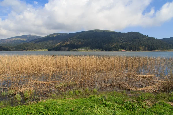 Sjön längs berget — Stockfoto