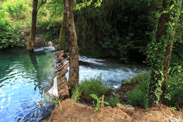 Eau courante dans la forêt — Photo