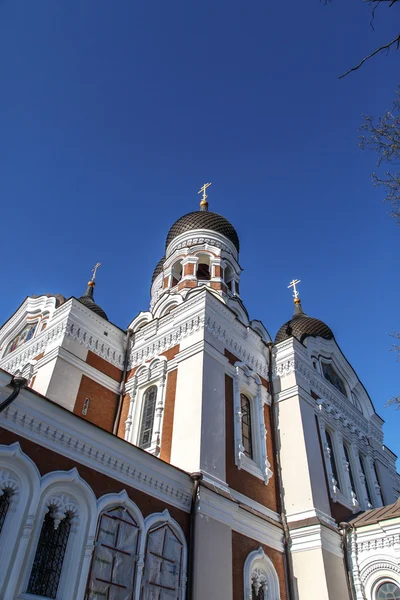 Cathédrale orthodoxe — Photo