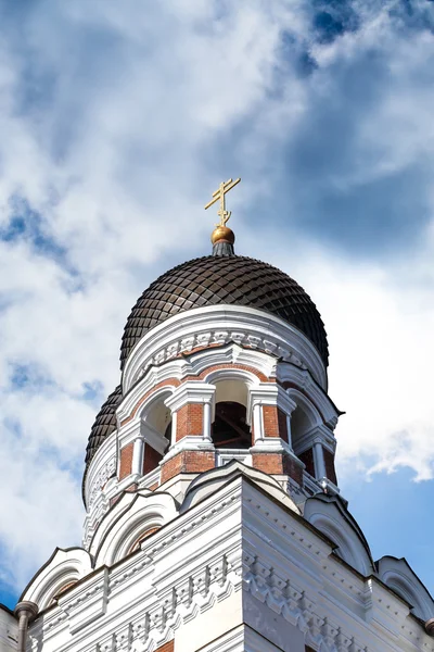 Cathédrale orthodoxe — Photo