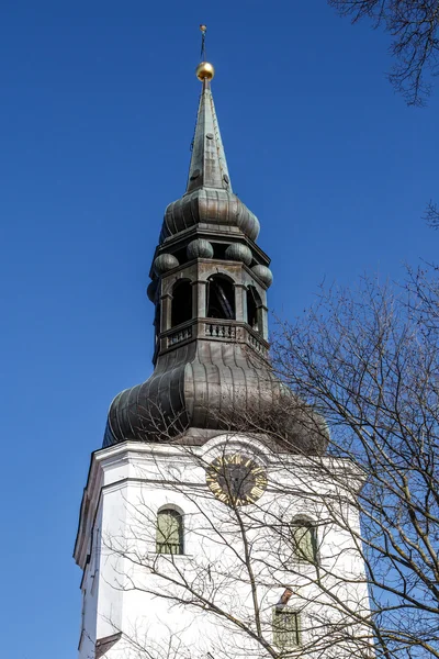 St mary kathedraal — Stockfoto