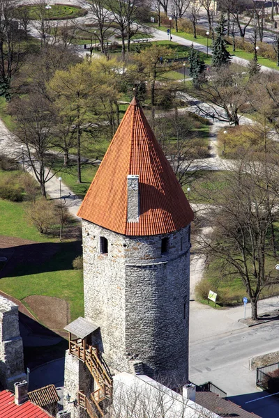 Міський пейзаж із Таллінна — стокове фото