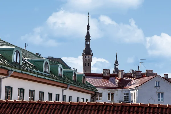 Tallin duvarlar — Stok fotoğraf