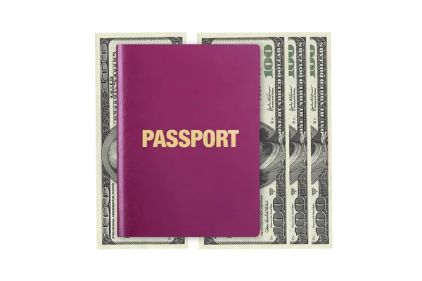 Паспорт на долларовые купюры — стоковое фото