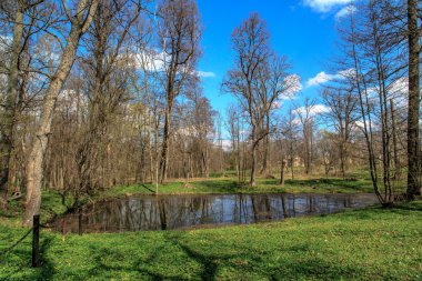 ormandaki küçük bir göl