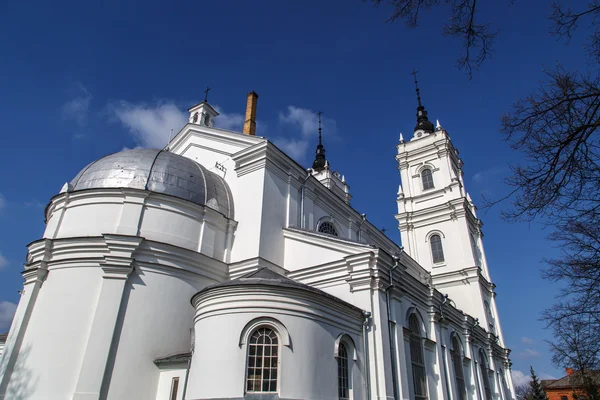 Ludza Katolik Katedrali — Stok fotoğraf