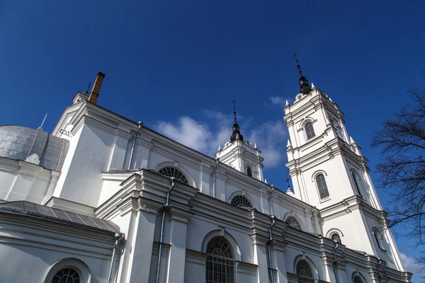 Katholische Kathedrale in Ludza — Stockfoto