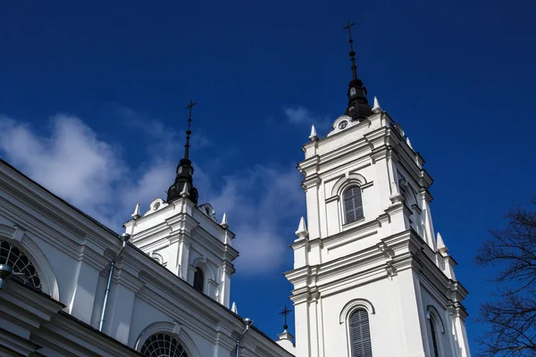Catedral Católica de Ludza — Foto de Stock