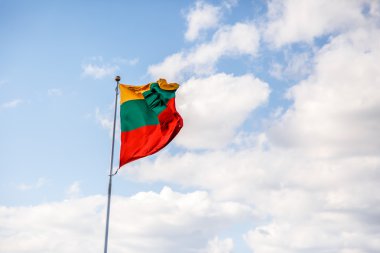 Waving Lithuanian Flag clipart