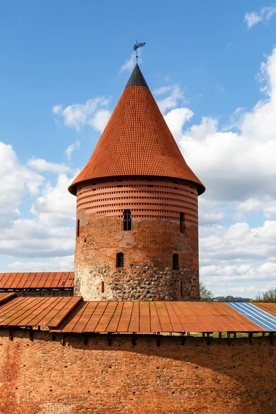 Historické zámecké Kaunas — Stock fotografie