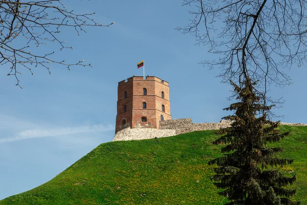 Lithuania Gediminas Tower — Stock Photo, Image