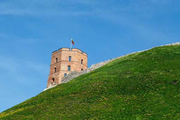 Вежі Гедиміна Литви — стокове фото