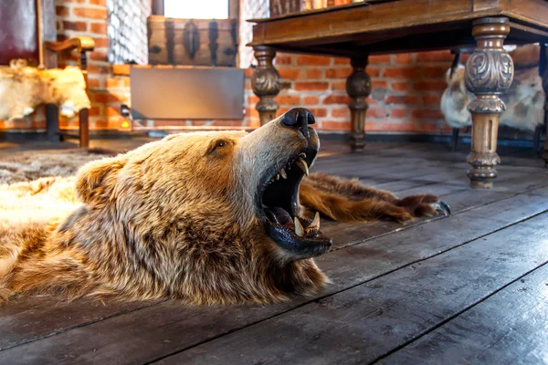 Oso montado con boca abierta — Foto de Stock