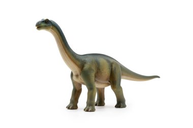 Görkemli brachiosaurus beyaz arka planda duruyor, gerçekçi deri dokuları ve otçulun uzun boynu sergiliyor..