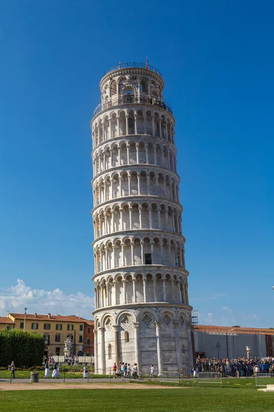 Pisa Kulesi görünümü — Stok fotoğraf