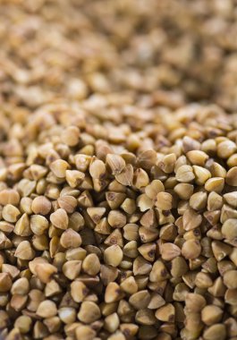 kahverengi buğday yakın çekim