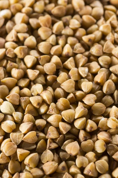 kahverengi buğday yakın çekim