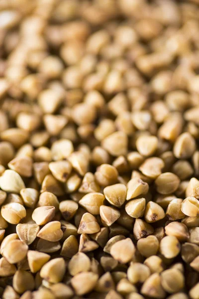 kahverengi buğday yakın çekim