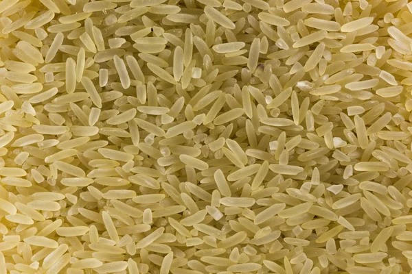 白色和黄色的稻粒特写 — 图库照片