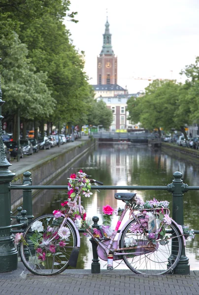 Nederländska cykel transport — Stockfoto