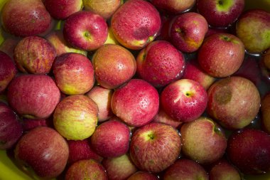 meyve, Kızıl elma, su damlaları