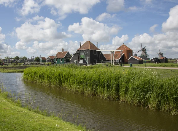Hollanda, Hollanda, kırsal manzara — Stok fotoğraf