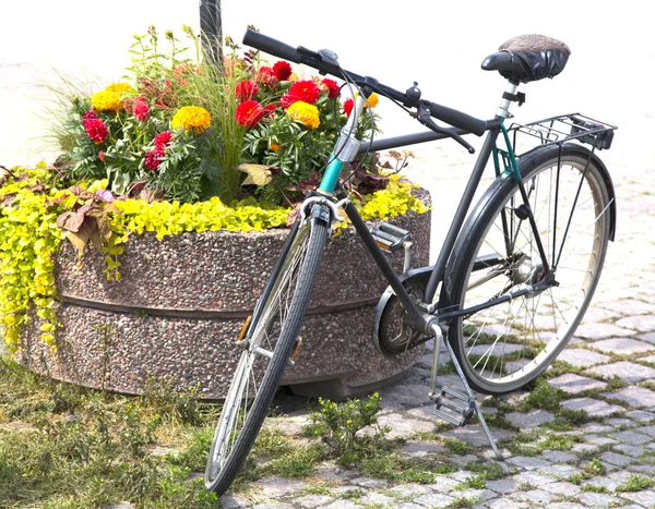 花壇から自転車 — ストック写真