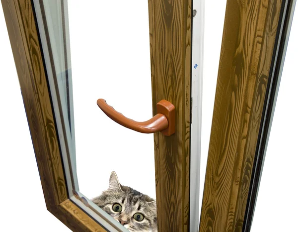 Windows ve çerçeveler ile cam ve bağlantı parçaları