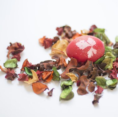 Paskalya yortusu yumurta kırmızı yaprakları arasında bitki kurutulmuş