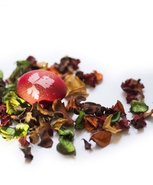 Paskalya yortusu yumurta kırmızı yaprakları arasında bitki kurutulmuş