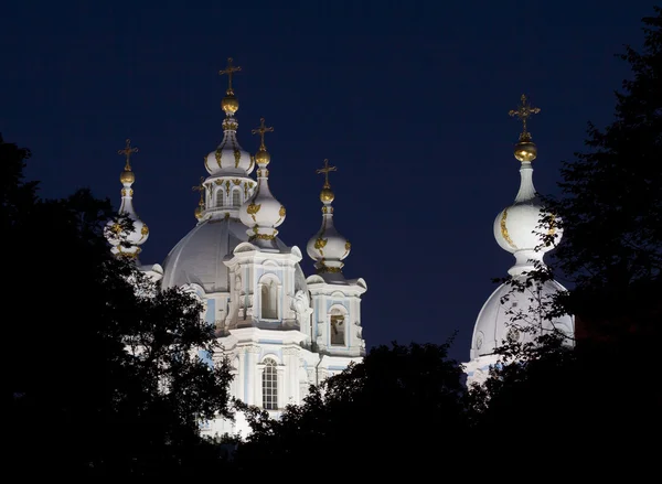 Cathédrale Smolny à Saint-Pétersbourg la nuit. Russie . — Photo