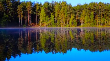 sis ve ağaçlar su orman ve göl yansıması içinde buhar