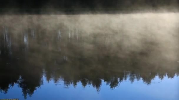 Nebel und Dampf über Wald und See Spiegelung der Bäume im Wasser — Stockvideo